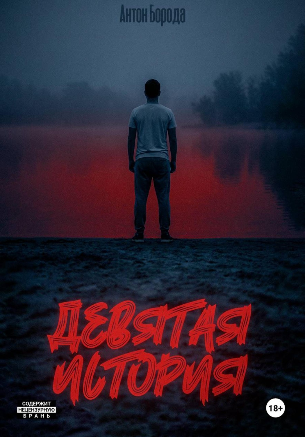 Обложка книги «Девятая история»
