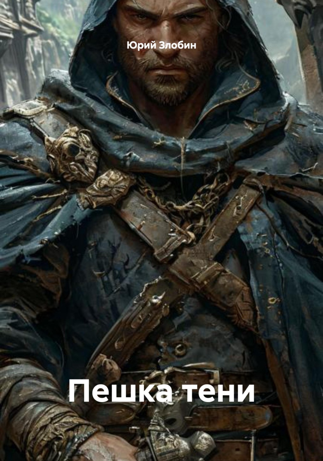 Обложка книги «Пешка тени»