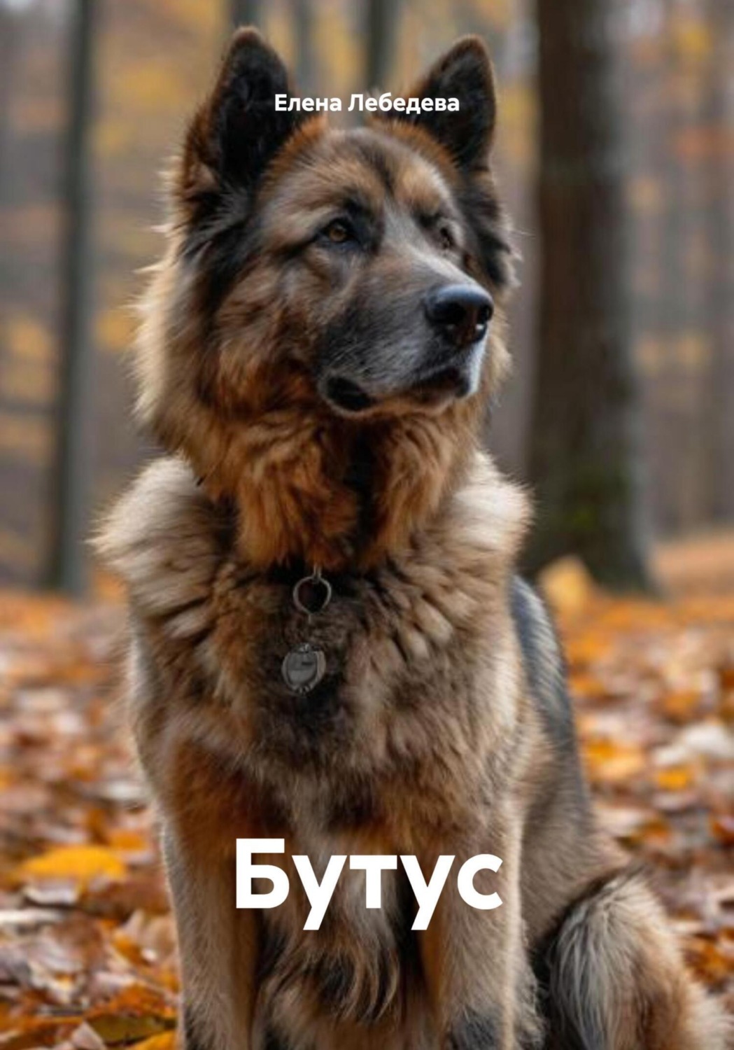 Обложка книги «Бутус»