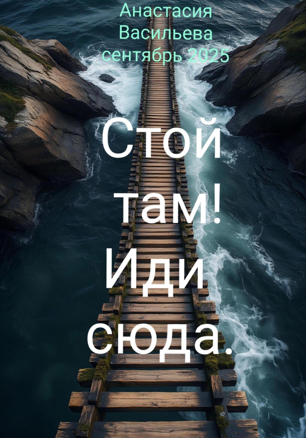 Обложка книги «Стой там! Иди сюда»