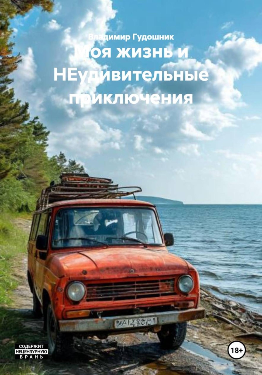 Обложка книги «Моя жизнь и НЕудивительные приключения»