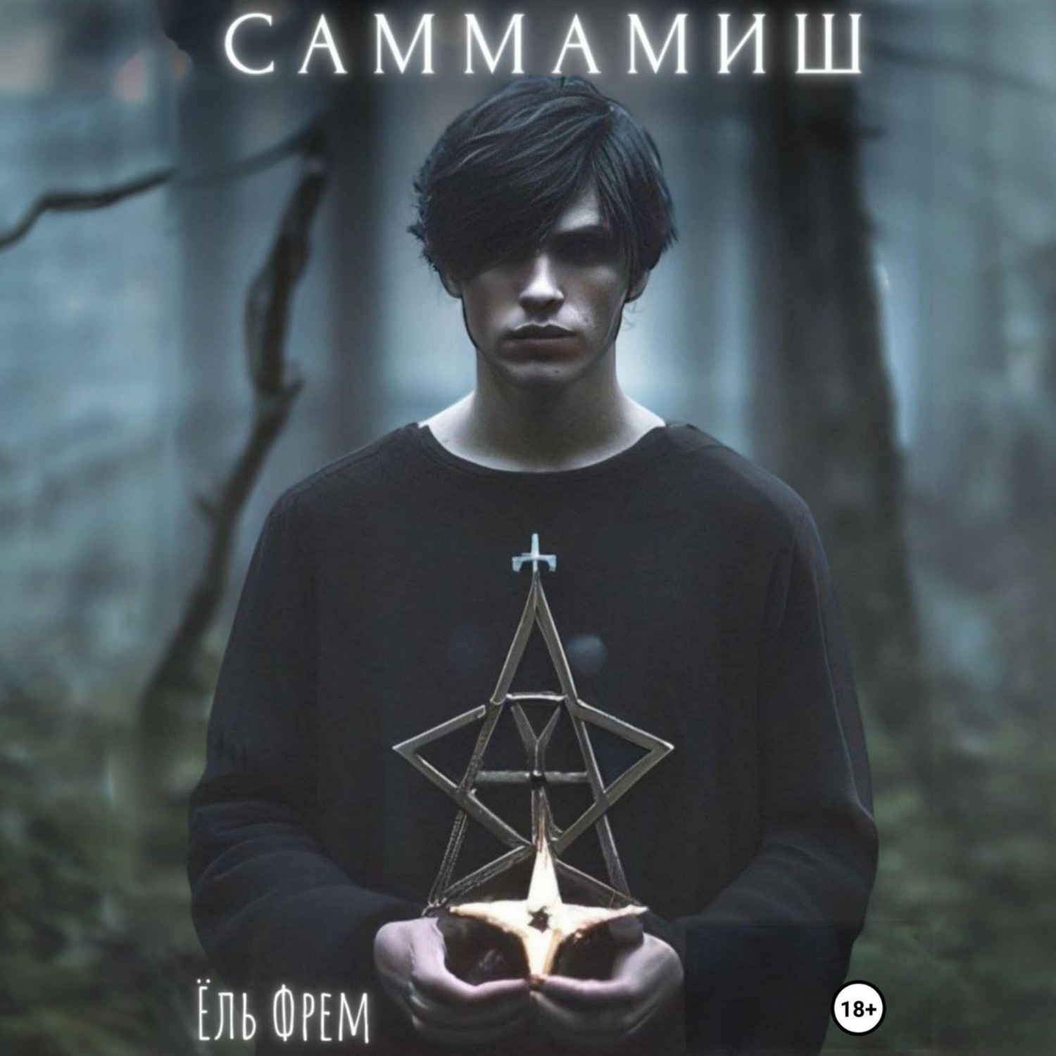 Обложка книги «Саммамиш»