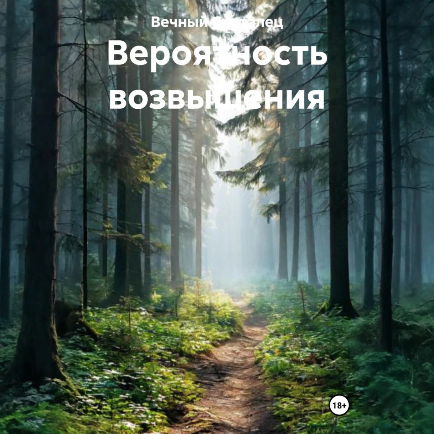 Обложка книги «Вероятность возвышения»