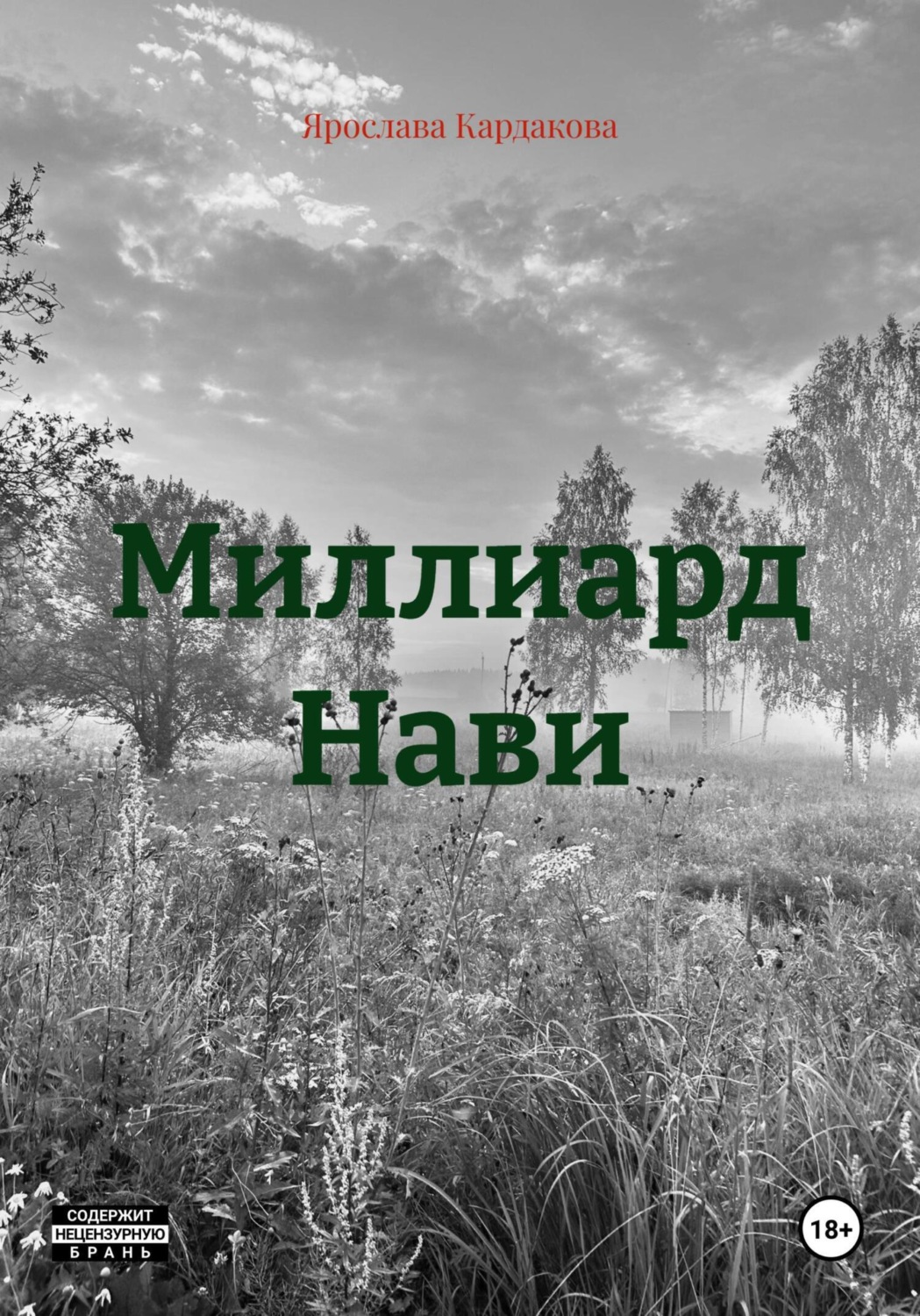 Обложка книги «Миллиард Нави»
