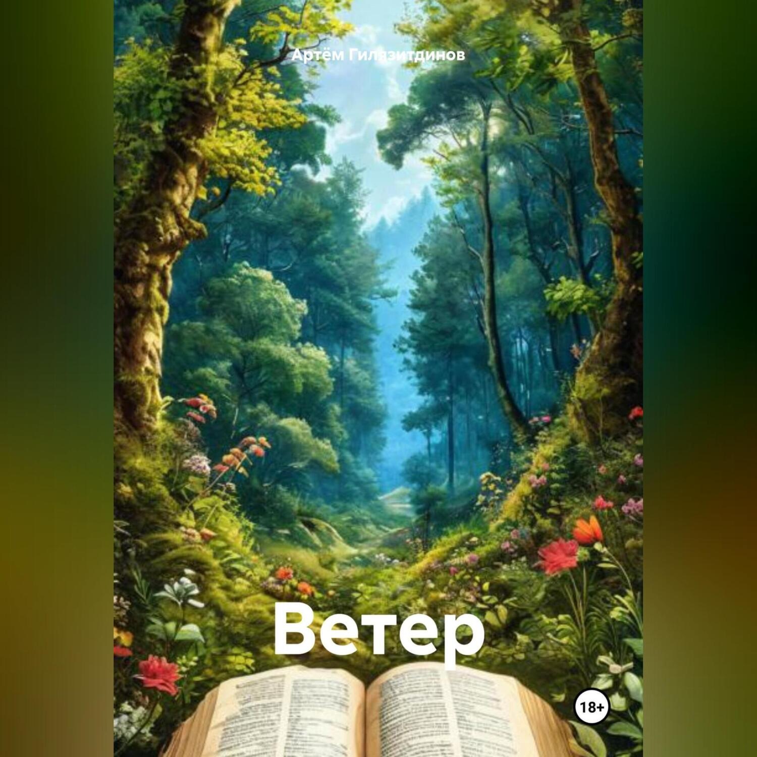 Обложка книги «Ветер»