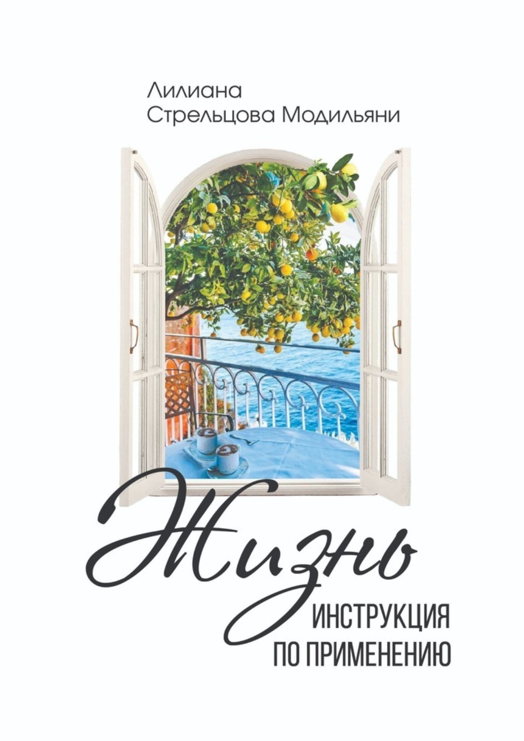Обложка книги «Жизнь: инструкция по применению»