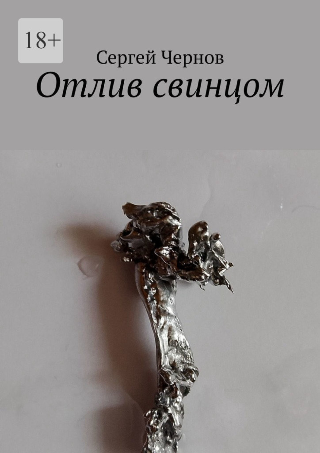 Обложка книги «Отлив свинцом»