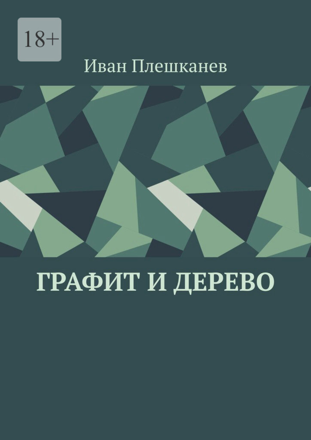 Обложка книги «Графит и дерево»