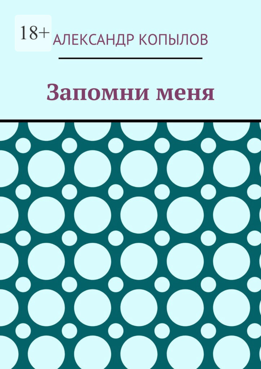 Обложка книги «Запомни меня»