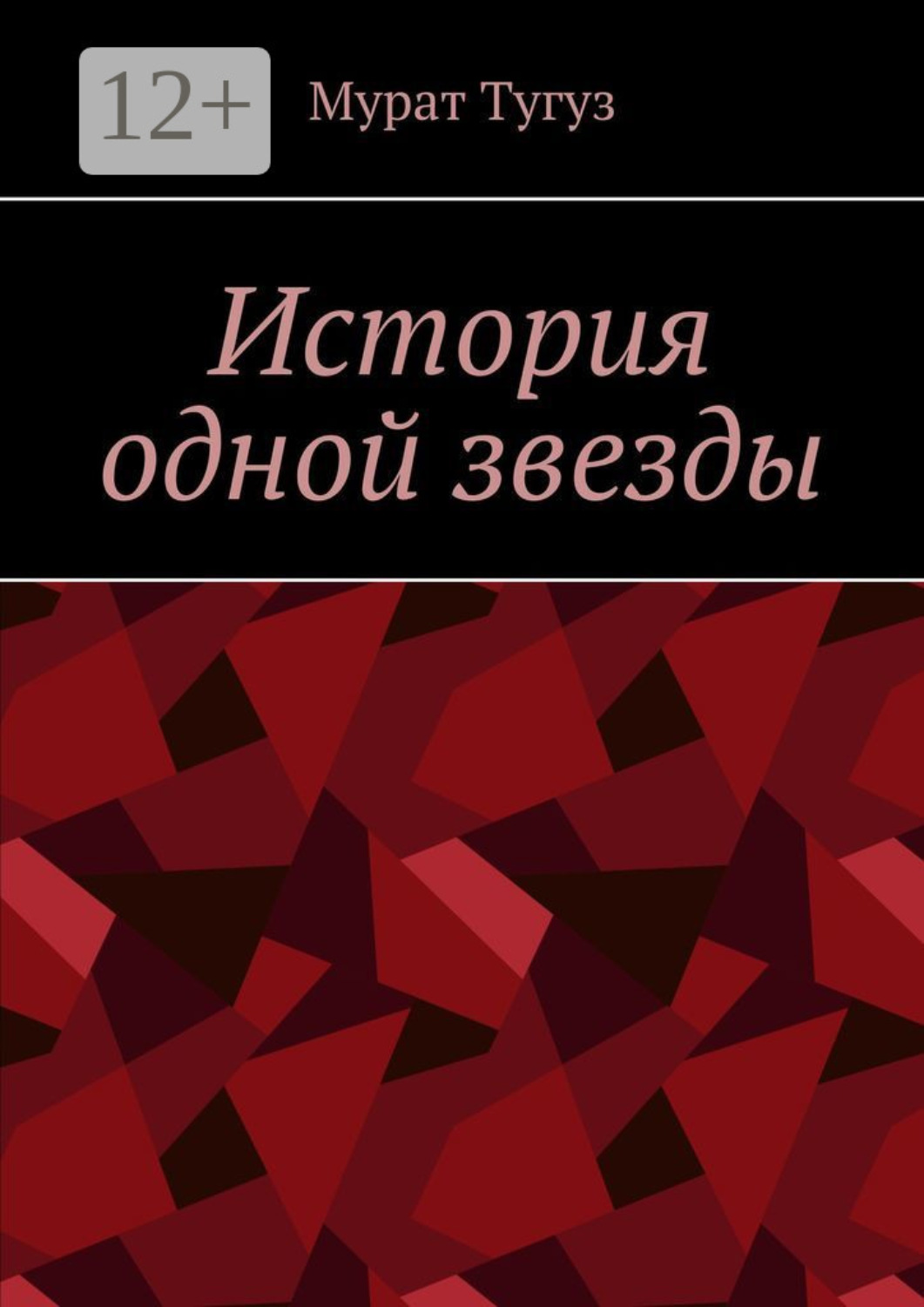 Обложка книги «История одной звезды»