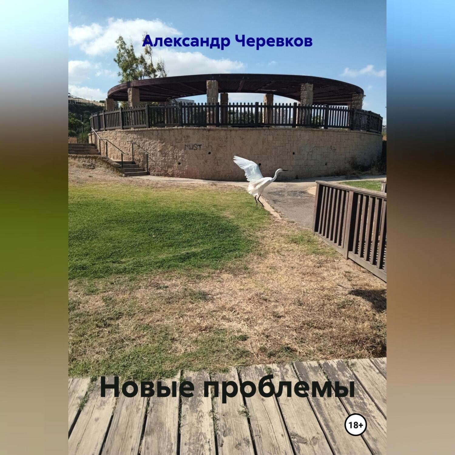 Обложка книги «Новые проблемы»