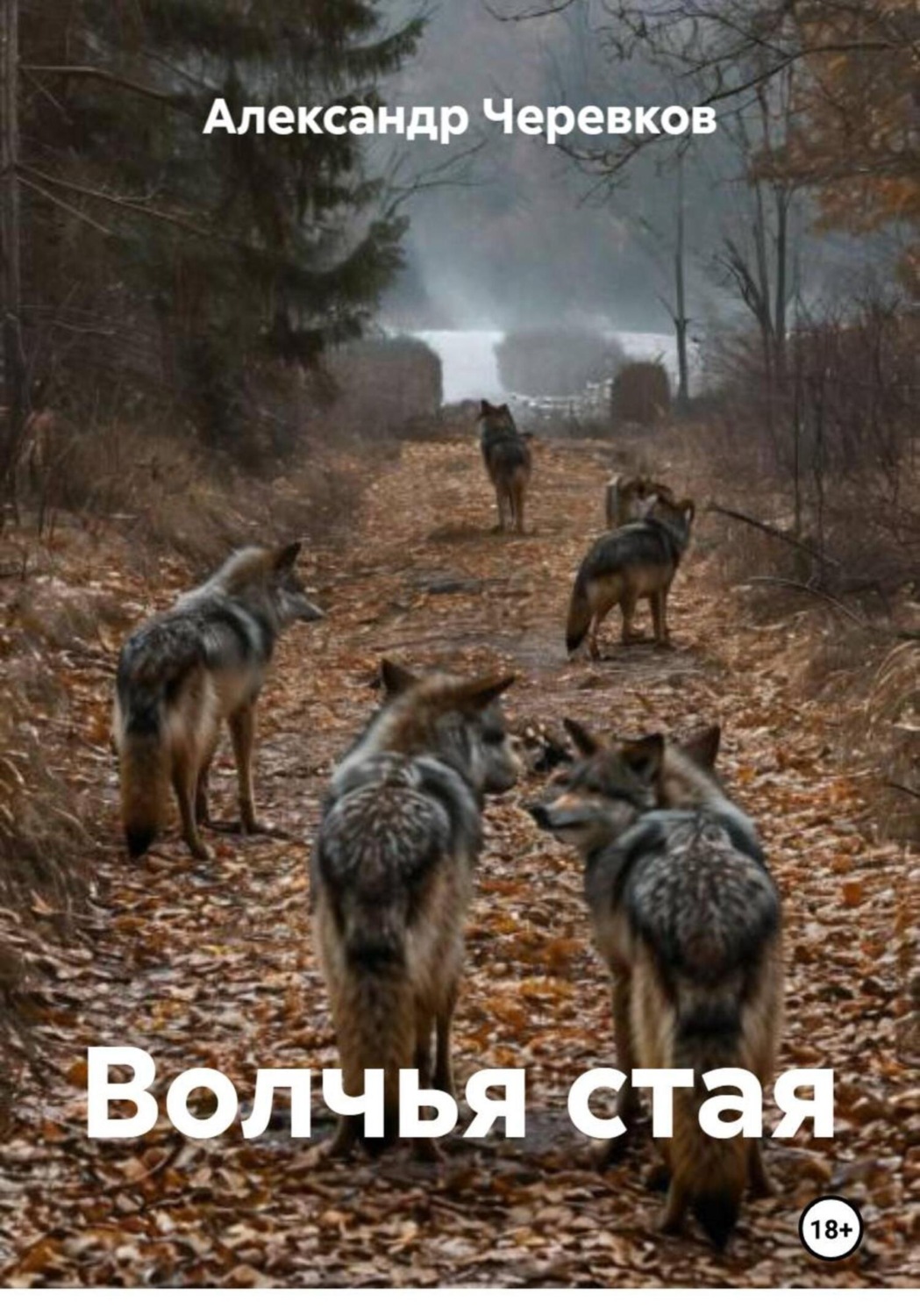 Обложка книги «Волчья стая»