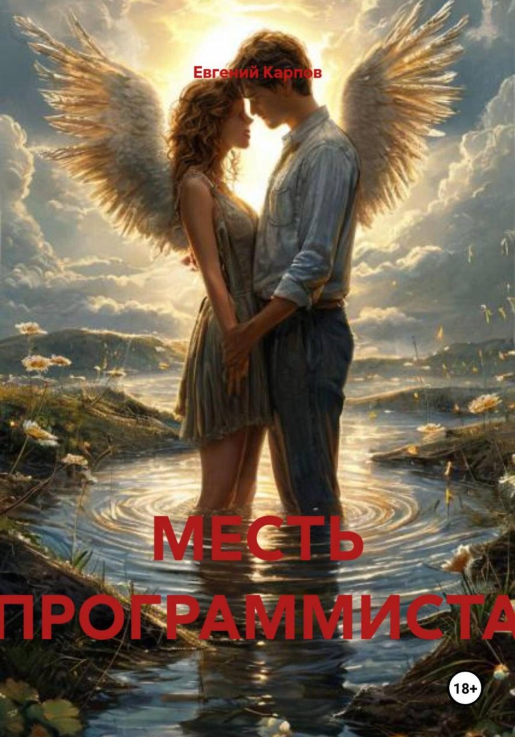 Обложка книги «МЕСТЬ ПРОГРАММИСТА»