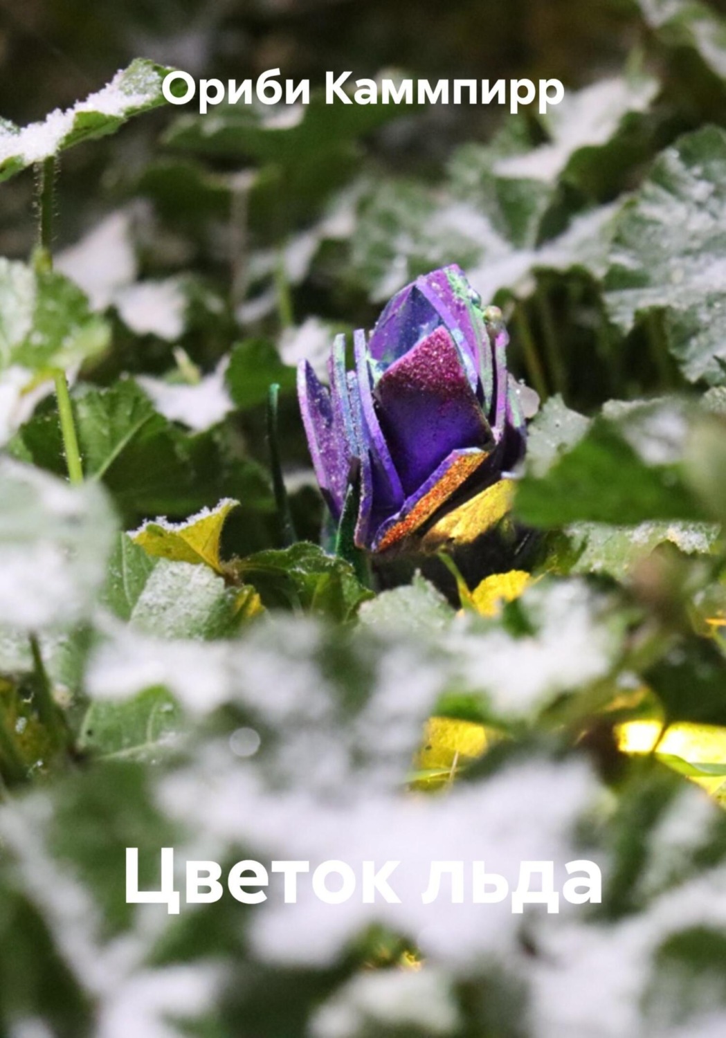 Обложка книги «Цветок льда»