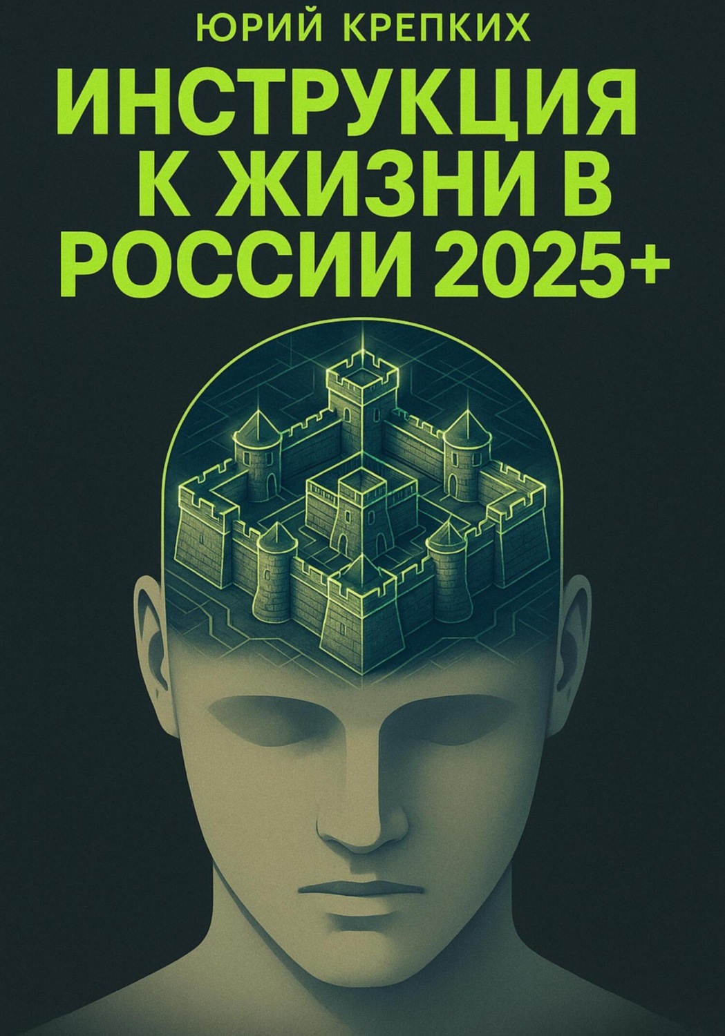 Обложка книги «Инструкция к жизни в России 2025+.»