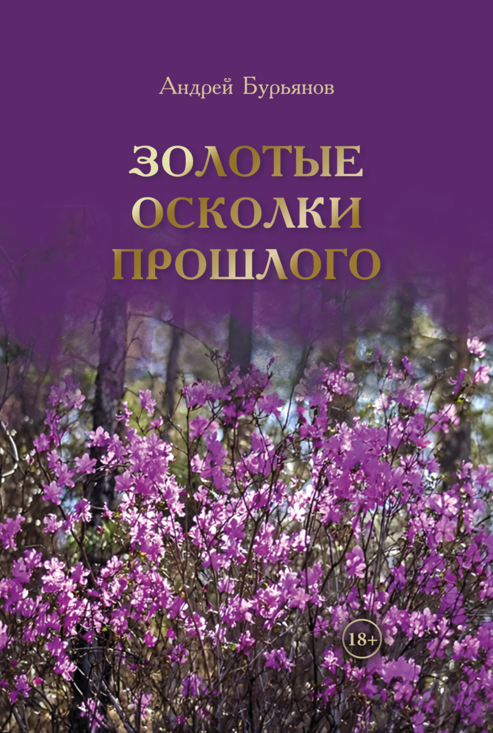 Обложка книги «Золотые осколки прошлого. Дневники и воспоминания»