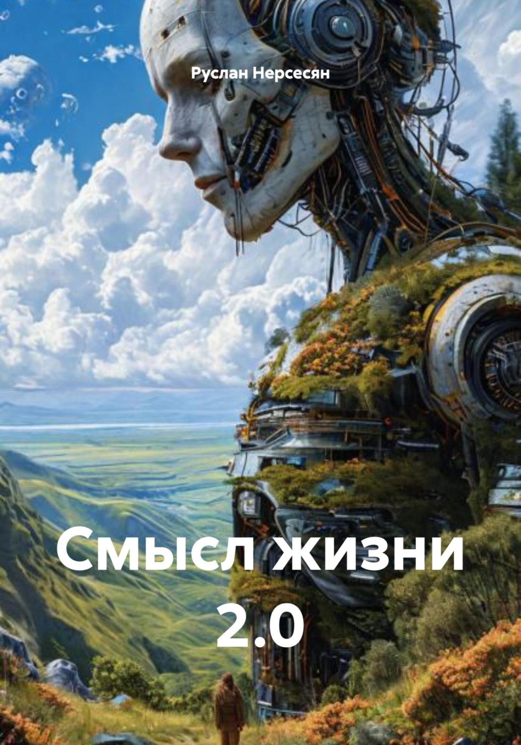 Обложка книги «Смысл жизни 2.0»