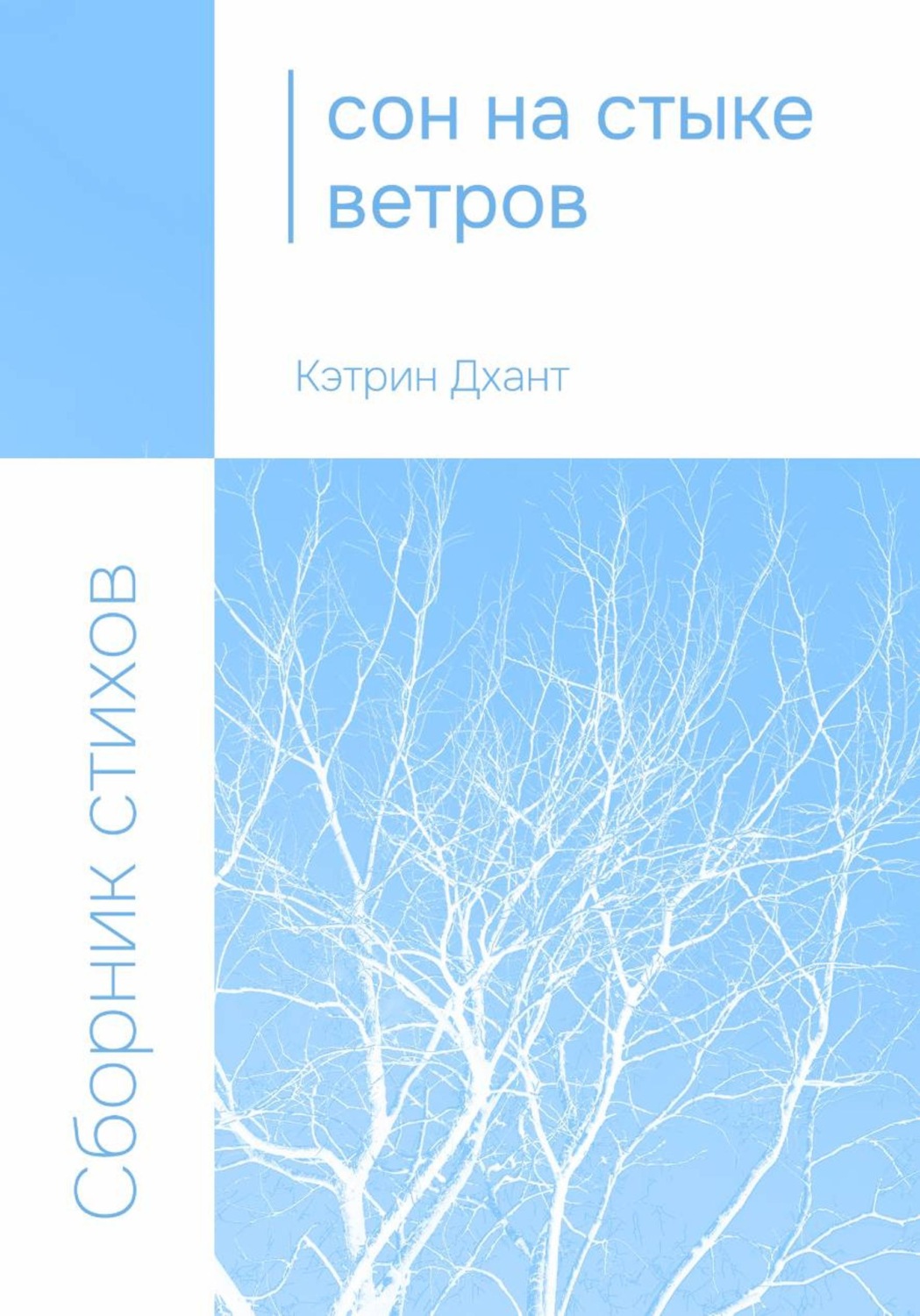Обложка книги «Сон на стыке ветров»