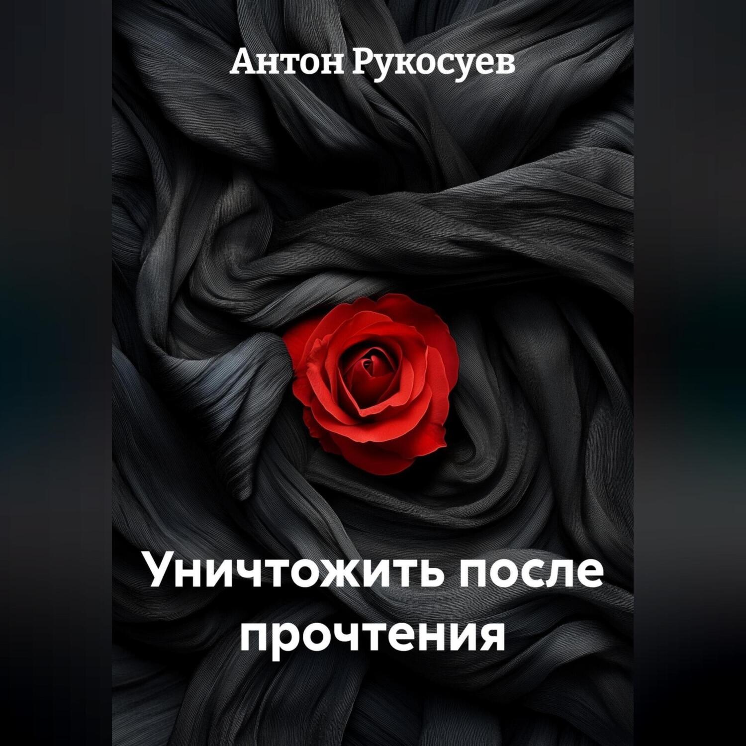 Обложка книги «Уничтожить, после прочтения»