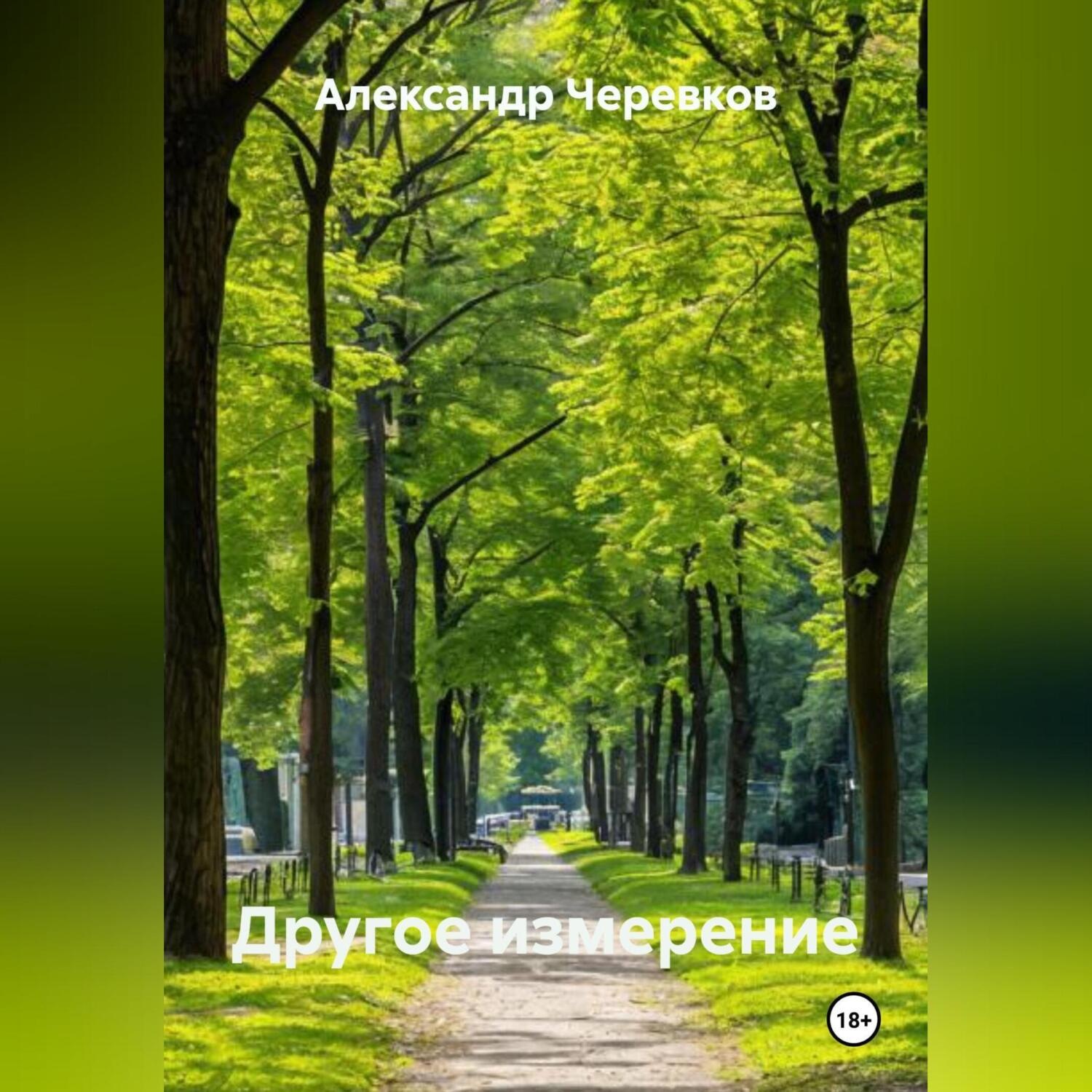Обложка книги «Другое измерение»