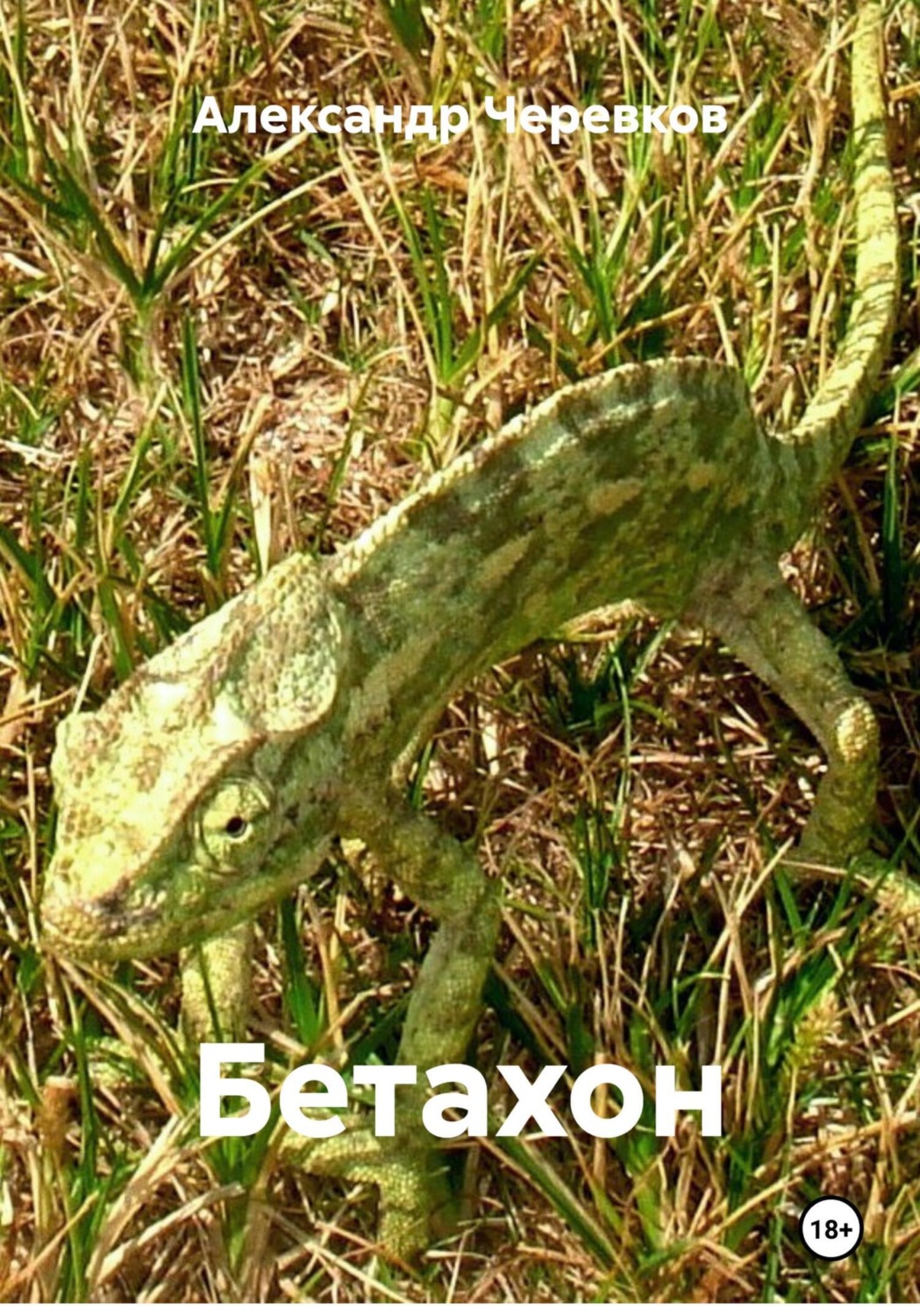Обложка книги «Бетахон»
