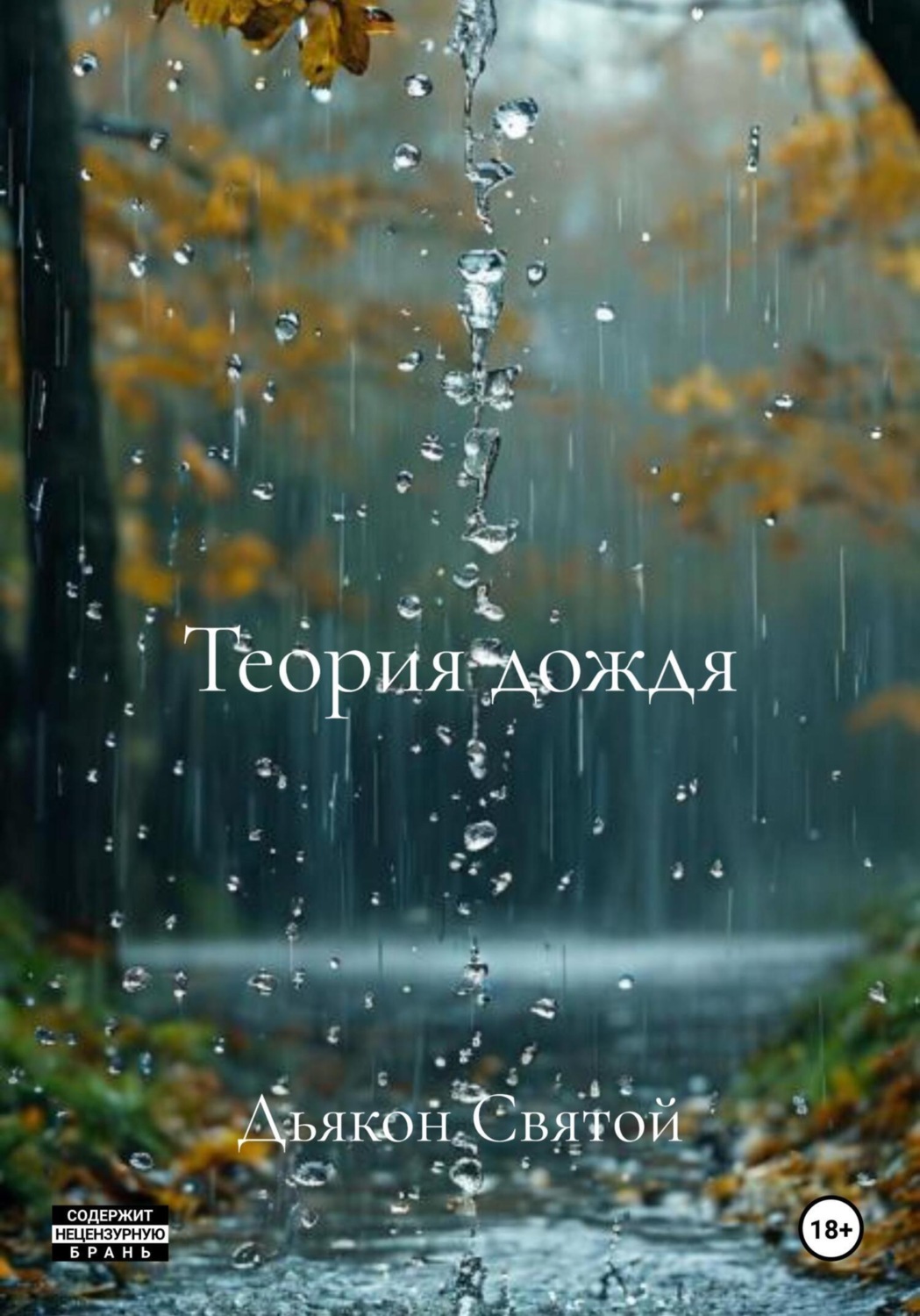 Обложка книги «Теория дождя»