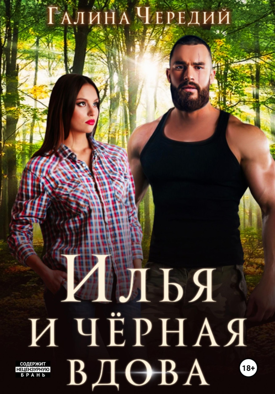 Обложка книги «Илья и черная вдова»