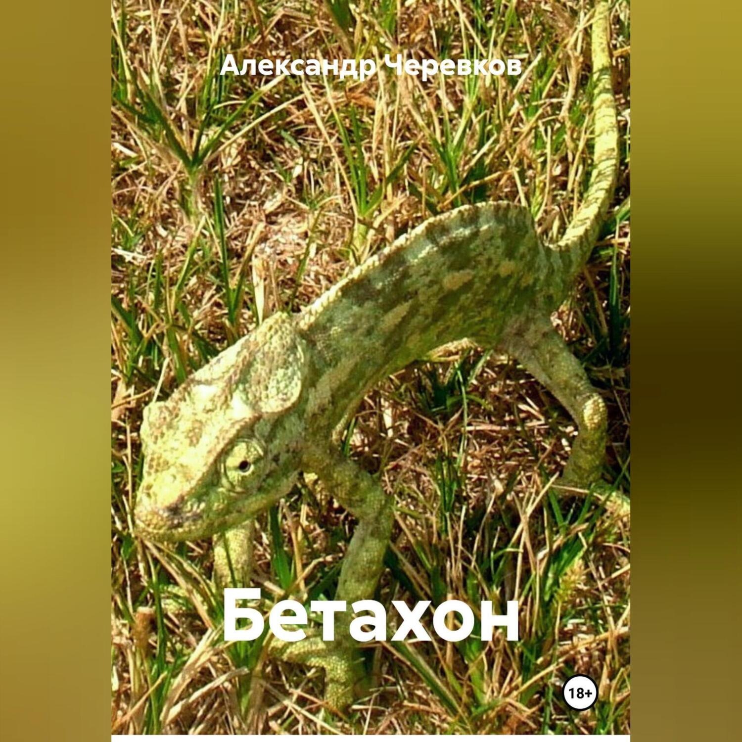 Обложка книги «Бетахон-Security-Безопасность»