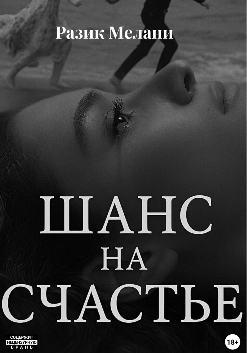 Обложка книги «Шанс на счастье»