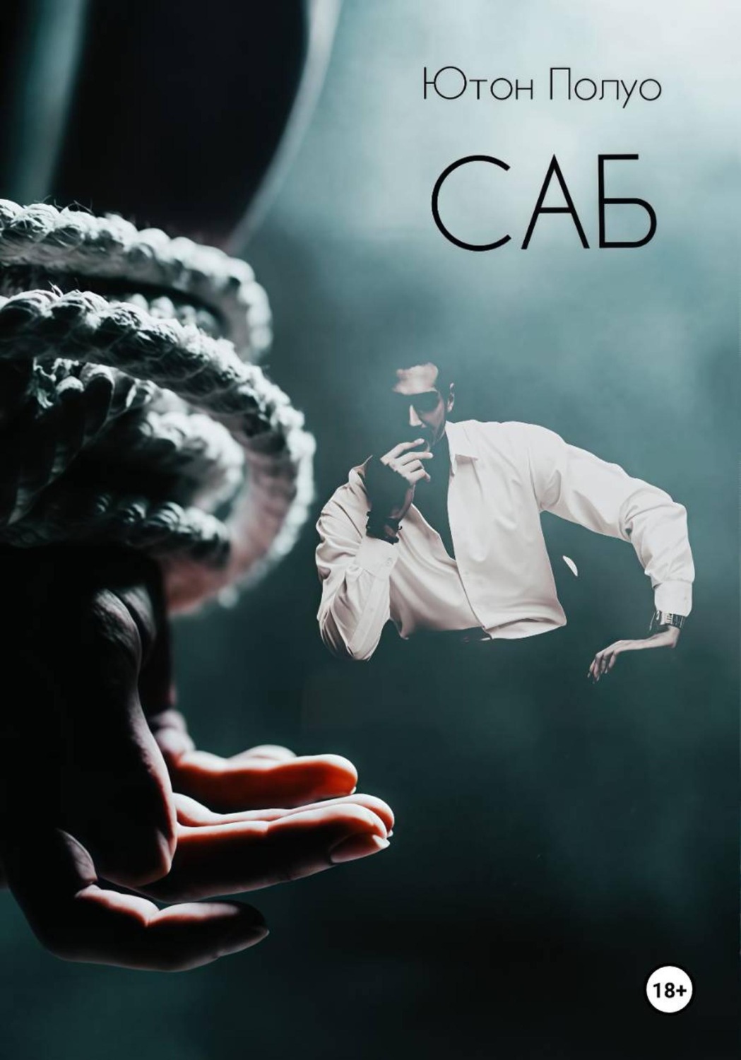 Обложка книги «САБ»