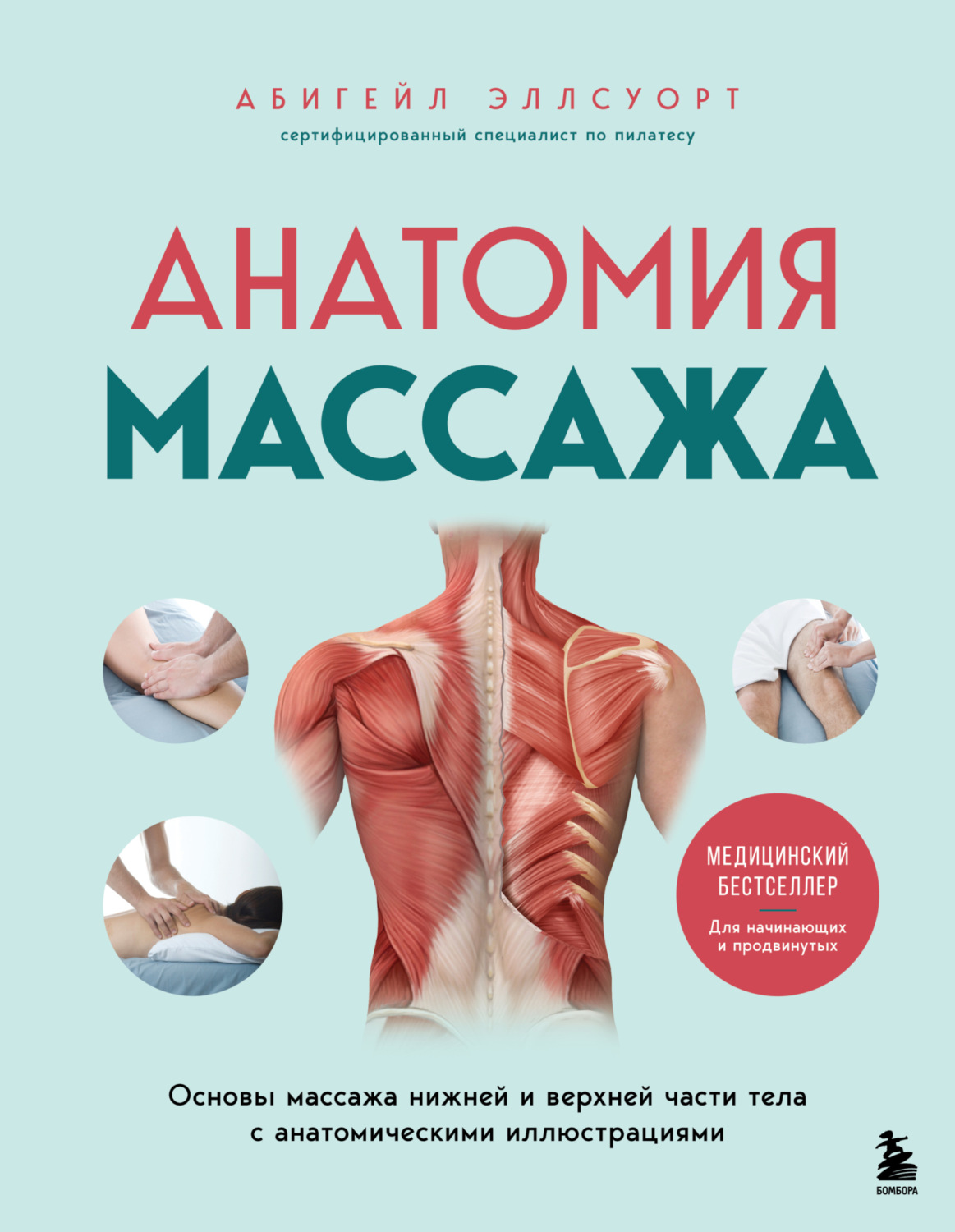 Обложка книги «Анатомия массажа. Основы массажа нижней и верхней части тела с анатомическими иллюстрациями»