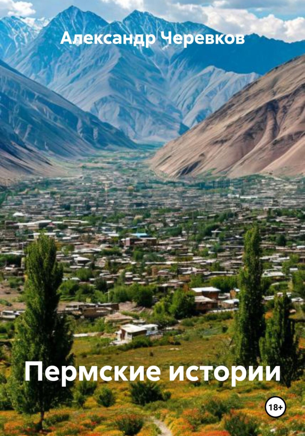 Обложка книги «Пермские истории»