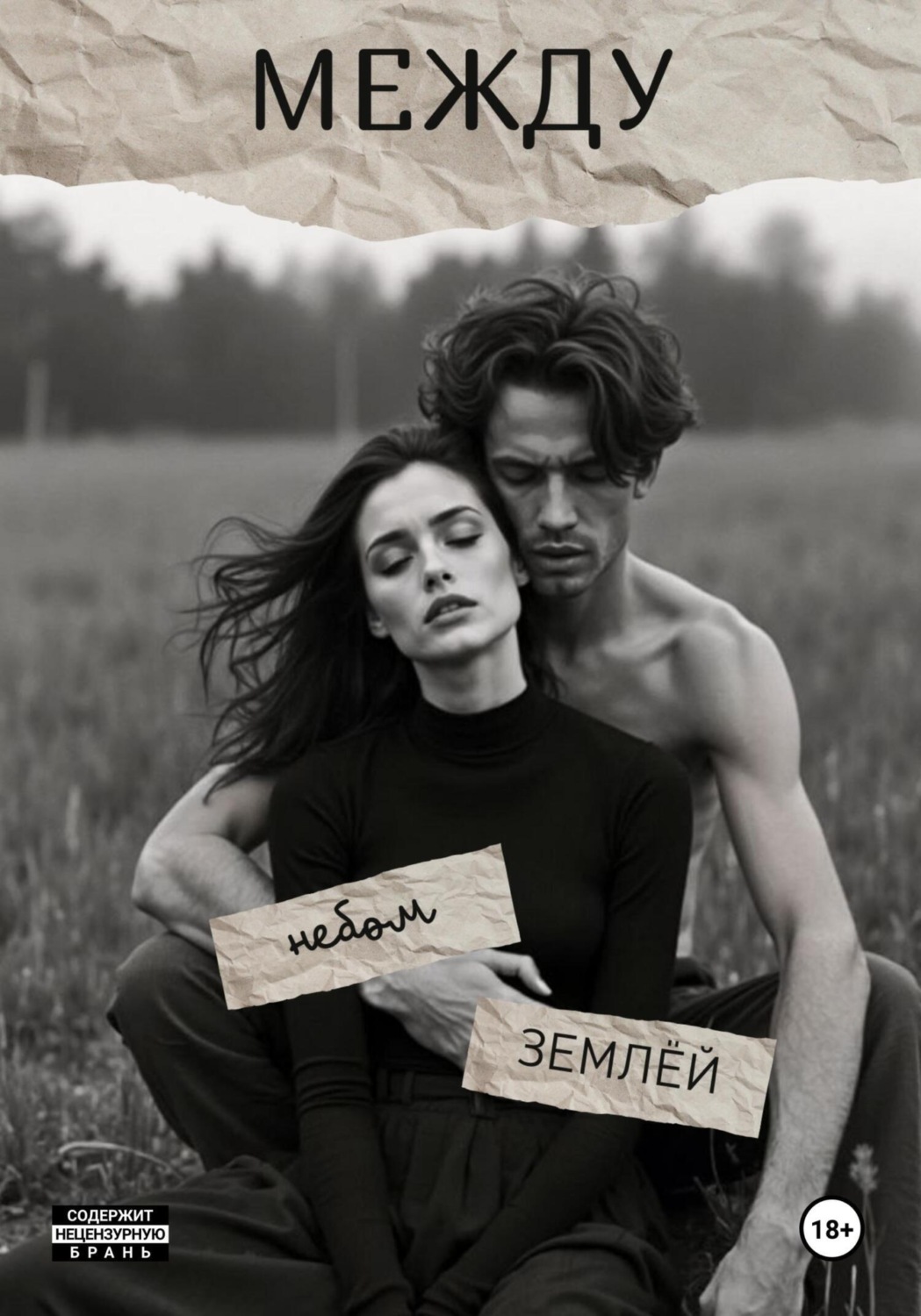 Обложка книги «Мост между небом и землёй»
