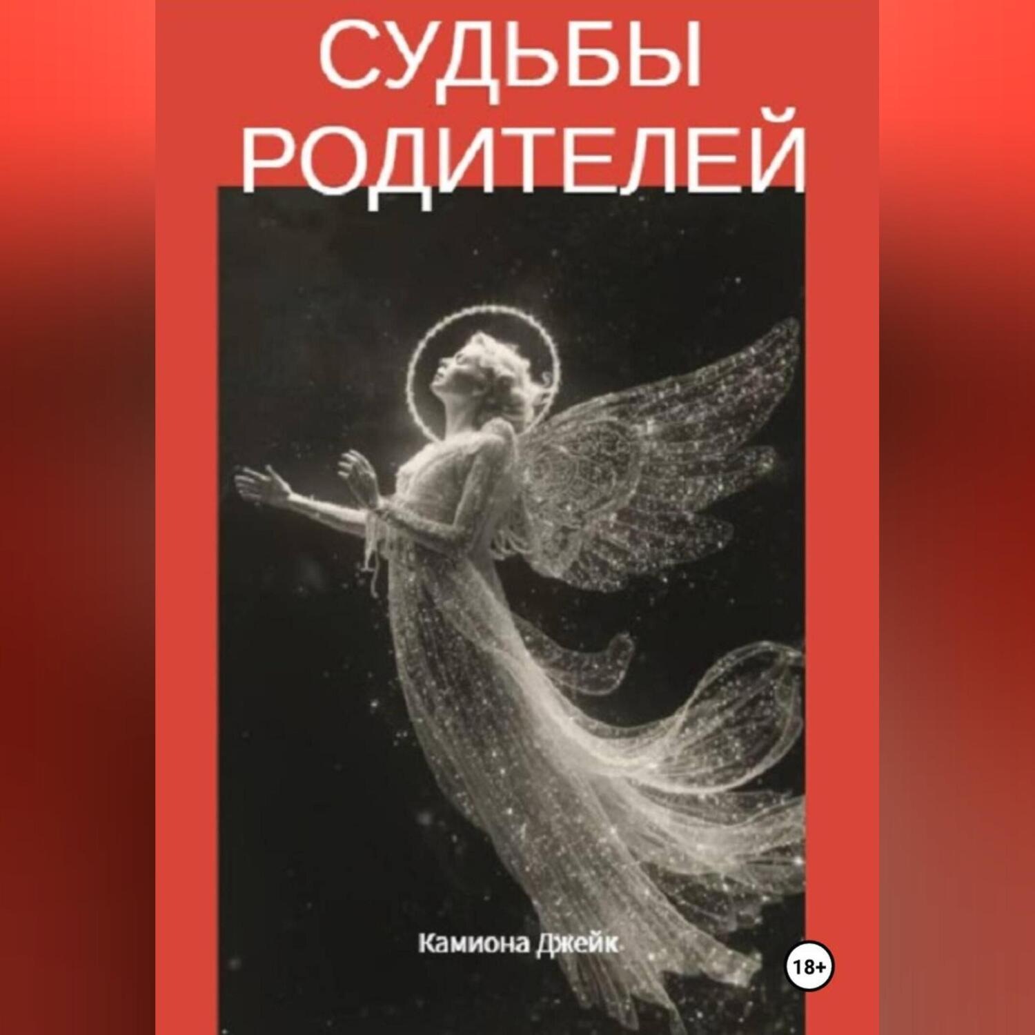 Обложка книги «Без права на жизнь или история одного аборта»