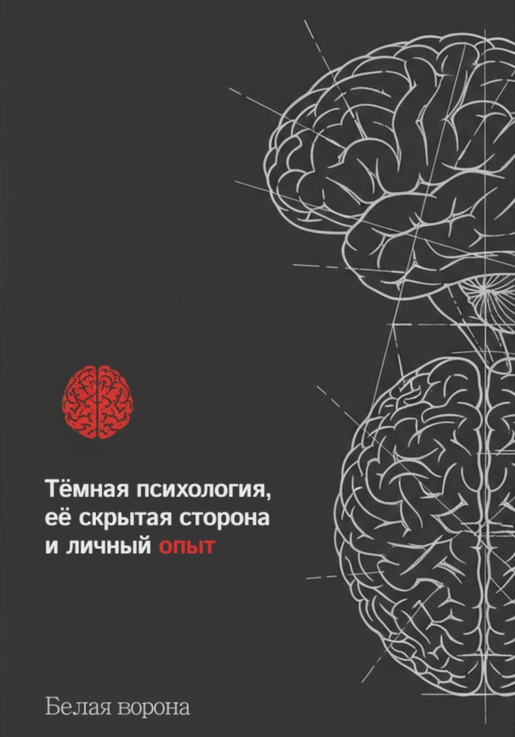 Обложка книги «Тëмная психология, еë скрытая часть и личный опыт»