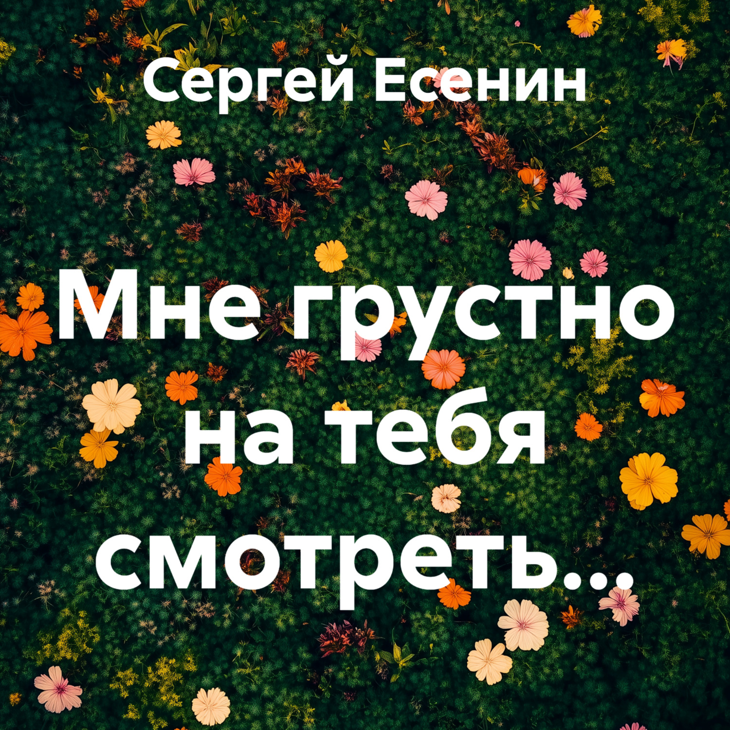 Обложка книги «Мне грустно на тебя смотреть…»