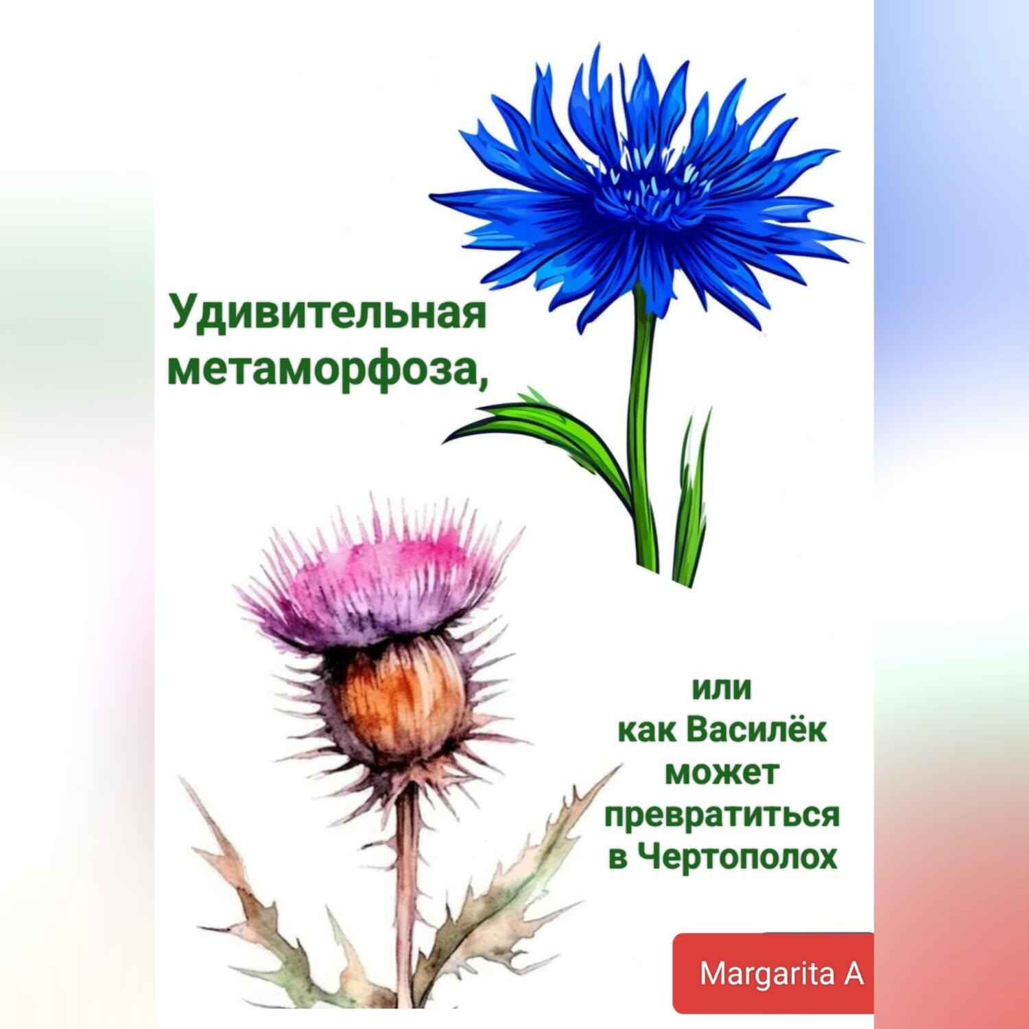 Обложка книги «Удивительная метаморфоза, или как Василёк может превратиться в Чертополох»