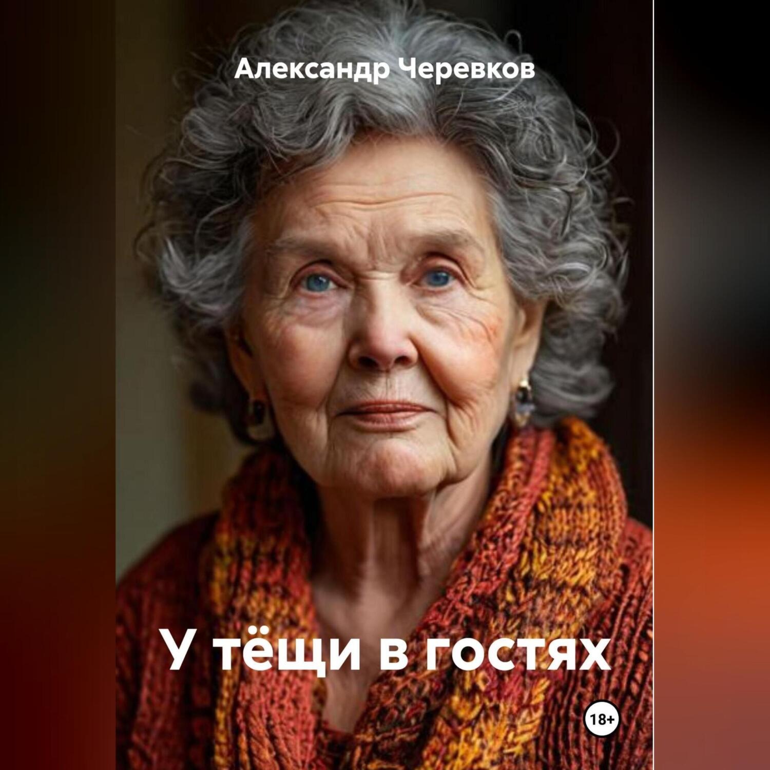 Обложка книги «У тёщи в гостях»