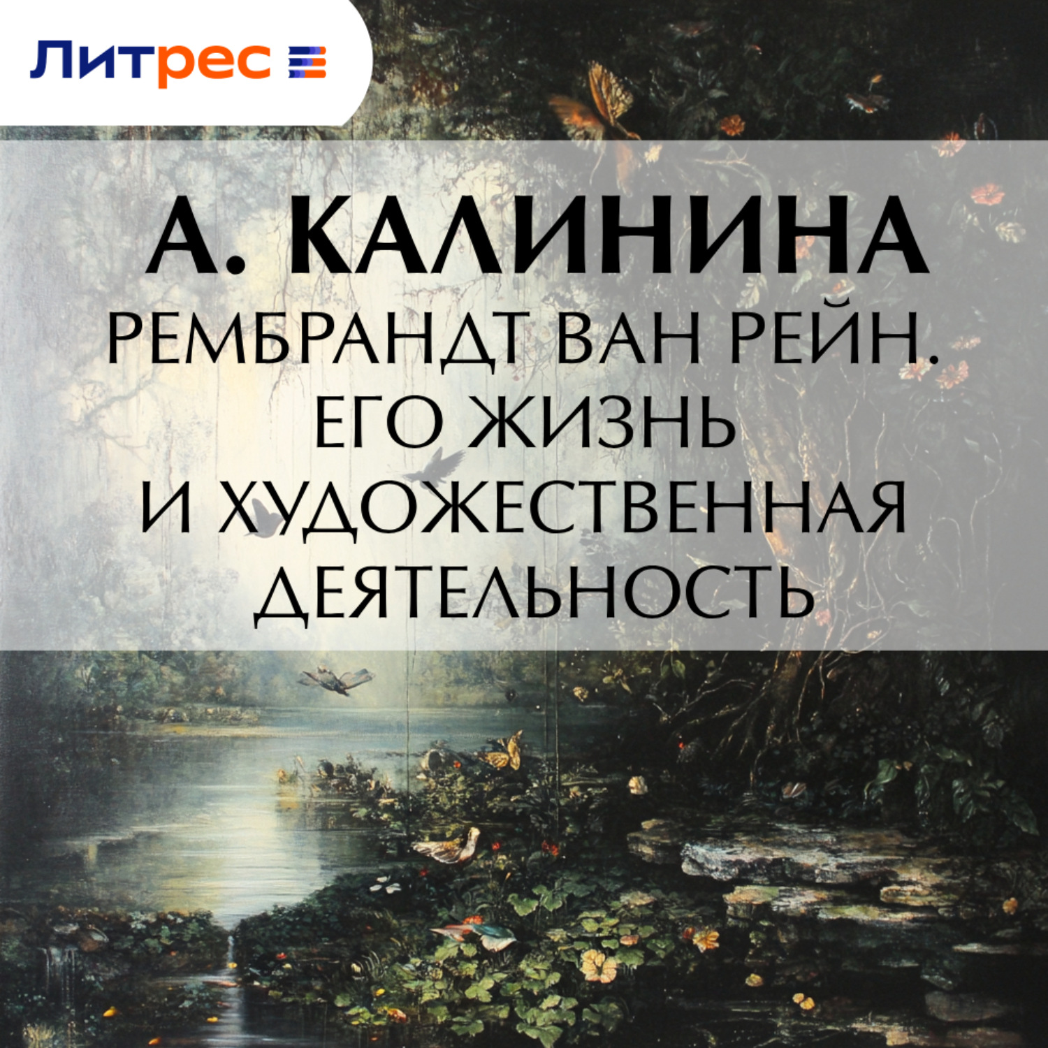 Обложка книги «Рембрандт ван Рейн. Его жизнь и художественная деятельность»