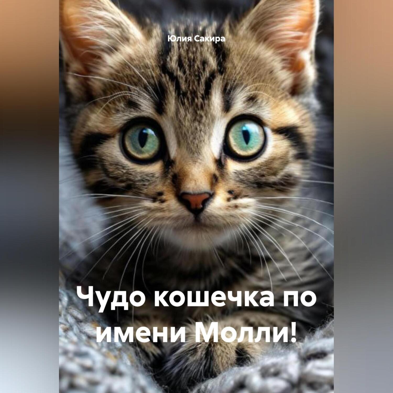 Обложка книги «Чудо кошечка по имени Молли!»