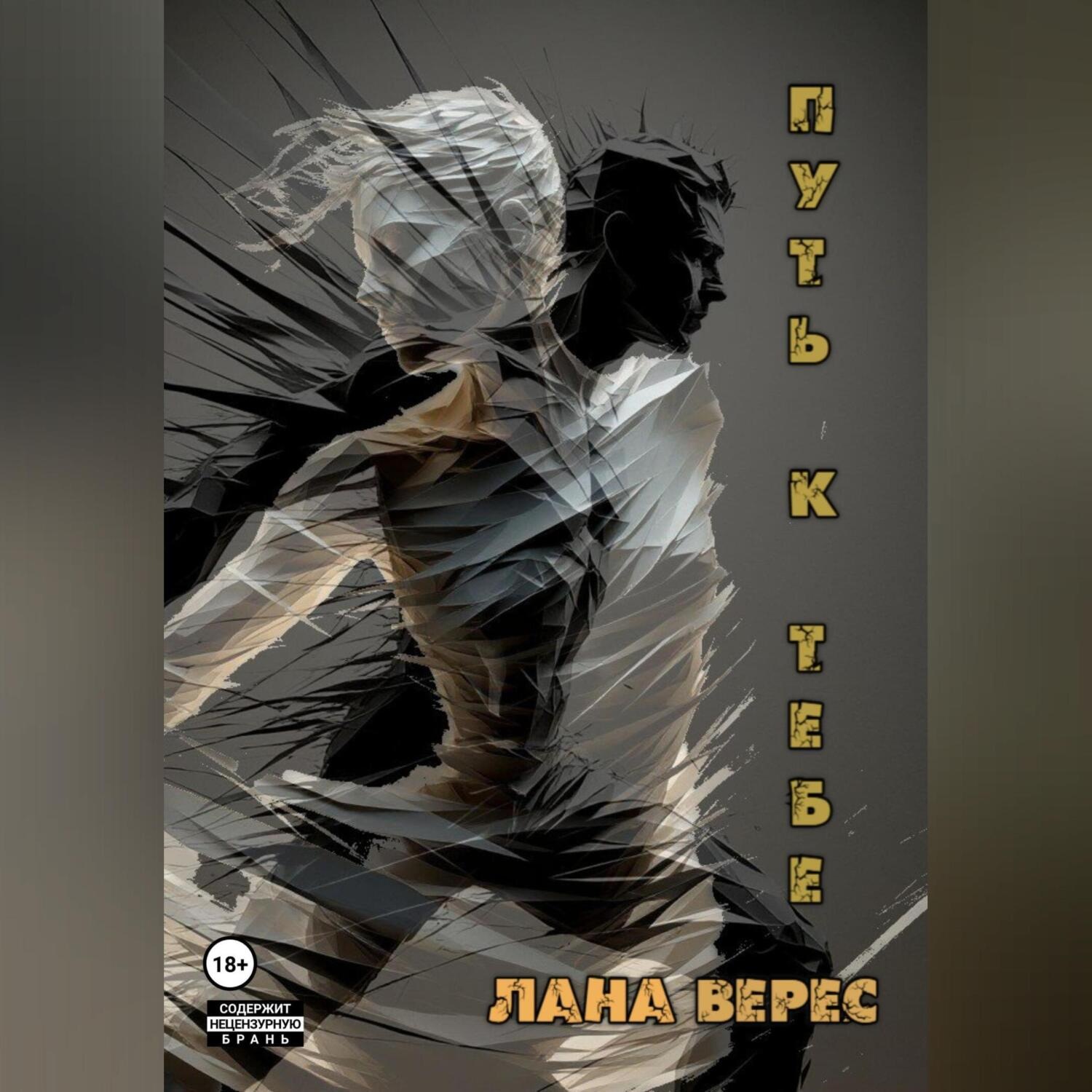Обложка книги «Путь к тебе»