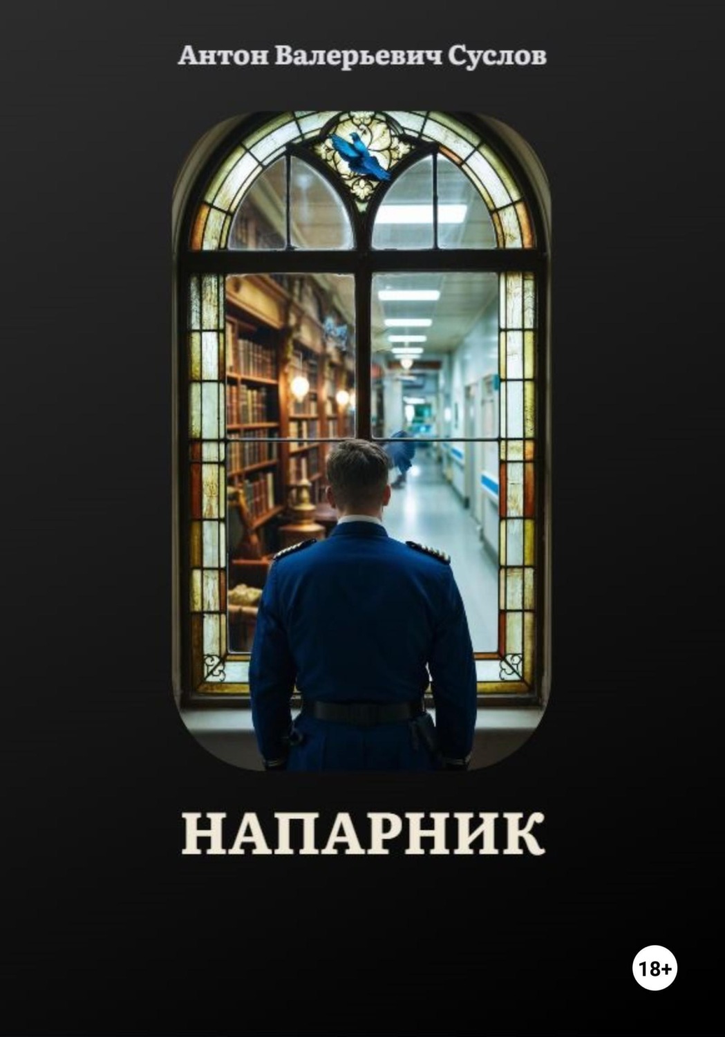 Обложка книги «Напарник»
