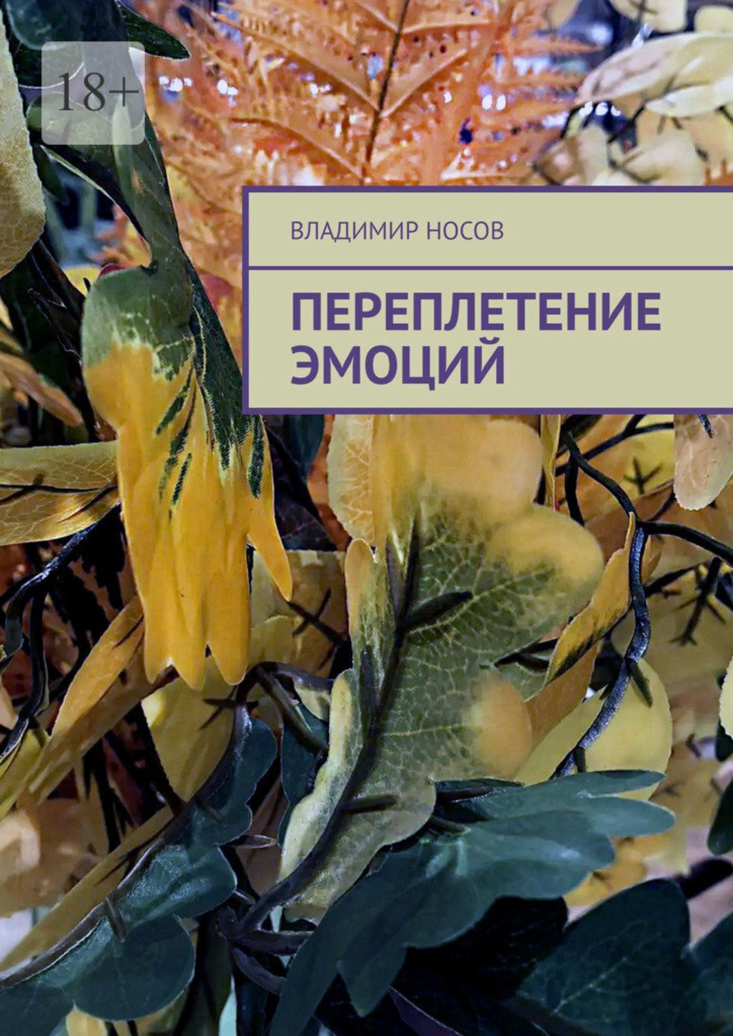 Обложка книги «Переплетение эмоций»