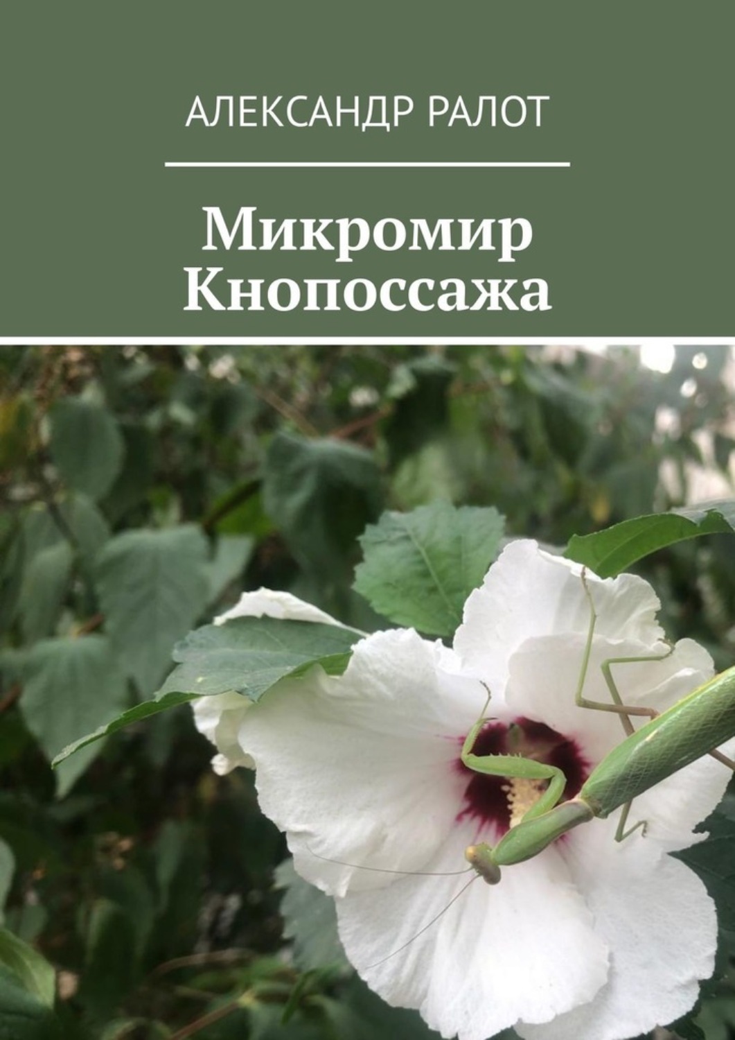 Обложка книги «Микромир Кнопоссажа»