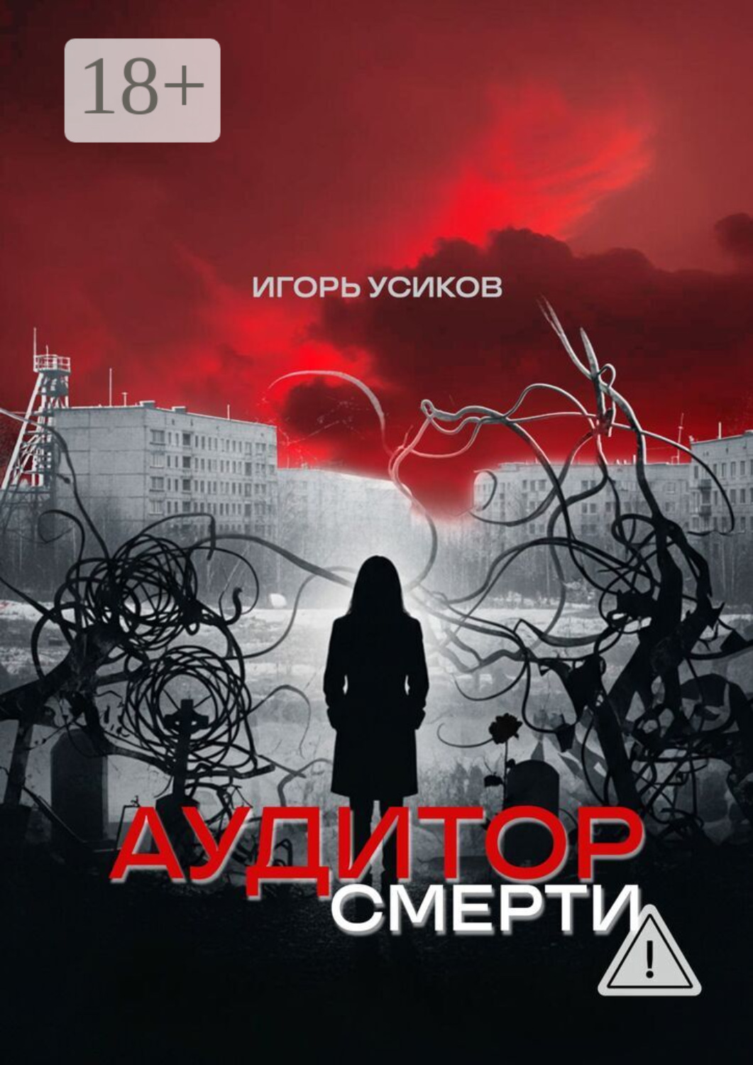 Обложка книги «Аудитор смерти»