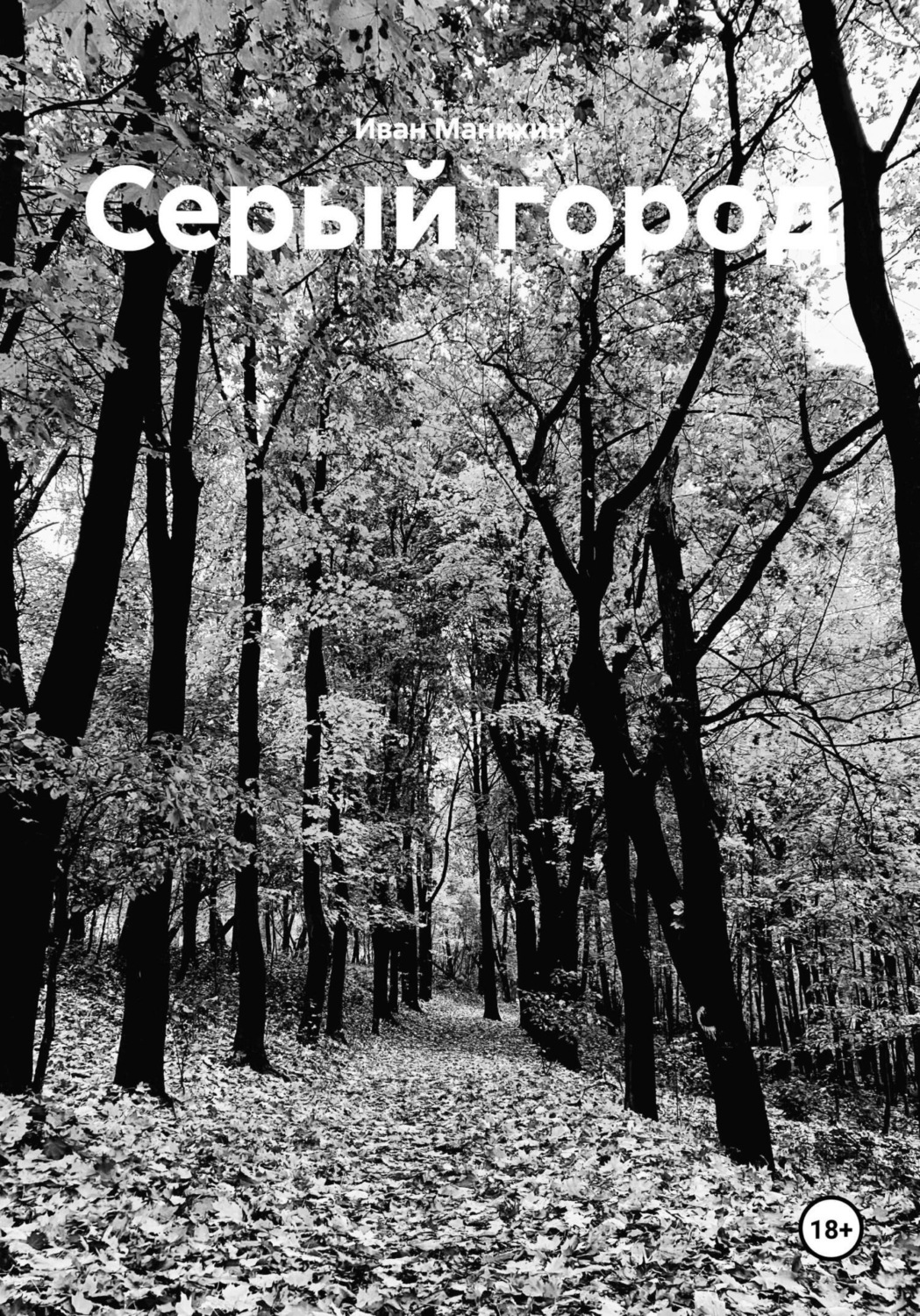 Обложка книги «Серый город»