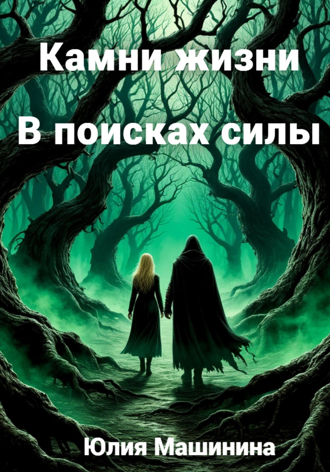 Обложка книги «Камни жизни. В поисках силы»