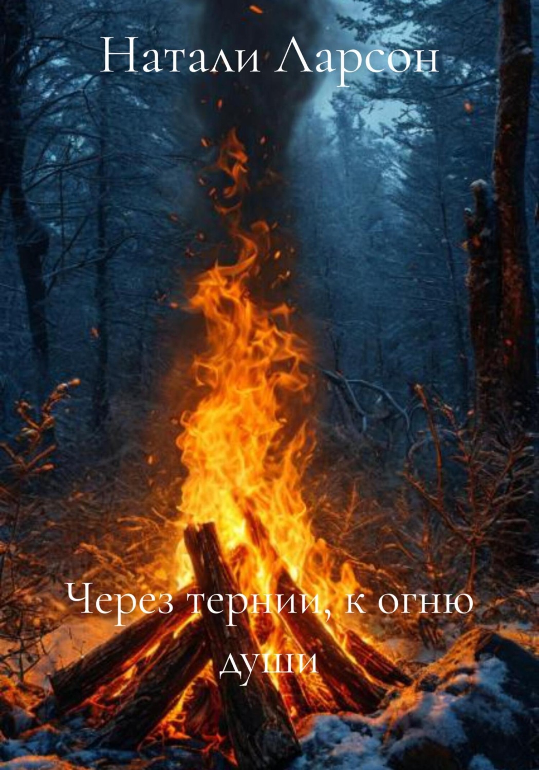 Обложка книги «Через тернии, к огню души»