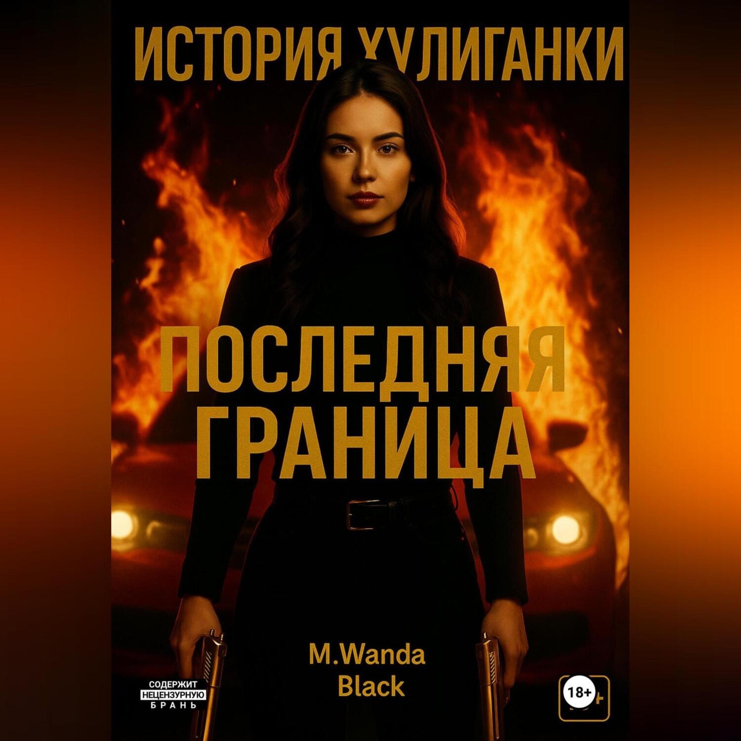 Обложка книги «История Хулиганки: Последняя Граница»