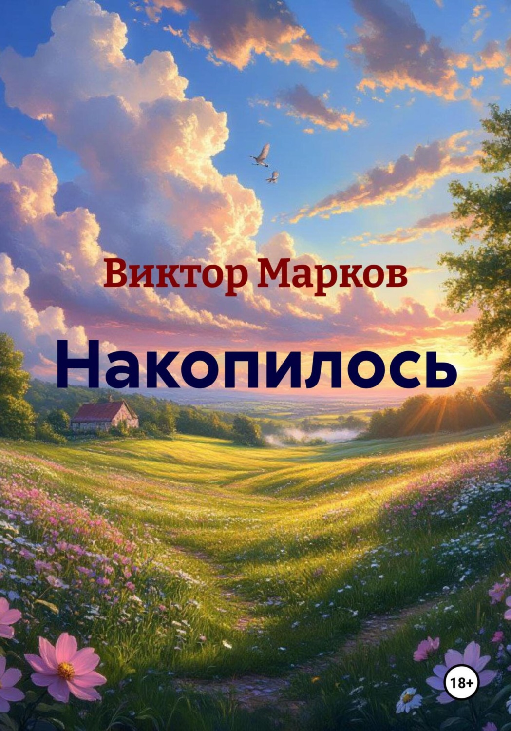 Обложка книги «Накопилось»